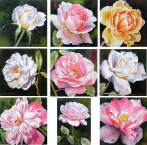 How to paint a rose, how to paint roses - Rose Painter shows her collection of painted roses in watercolor