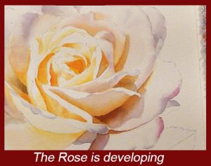 Create the illusion of reality with this Watercolor DVD Lesson on painting white Roses