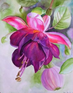 Pink Fuschia in watercolor by Doris Joa