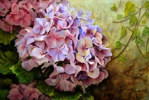 Realistic Hydrangea Painting in watercolor with ivy along a stone wall