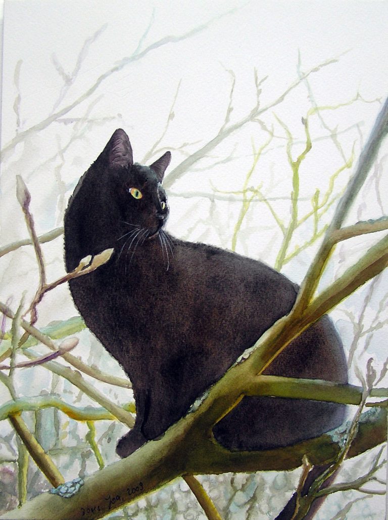 Black cat in Magnolia Tree watercolor by Doris Joa