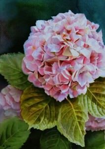 Flower Paintings in Oil and Watercolor