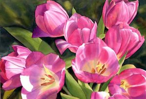 Flower Painting of Pink Tulips in Watercolor by Doris Joa