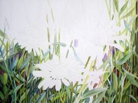 Watercolor Painting - White Daisies