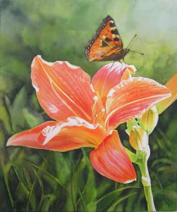 Orange Lily Flower Painting with Butterfly - watercolor art by Doris Joa