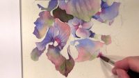Step-by-Step of painting a blue hydrangea in watercolor - as online video lesson