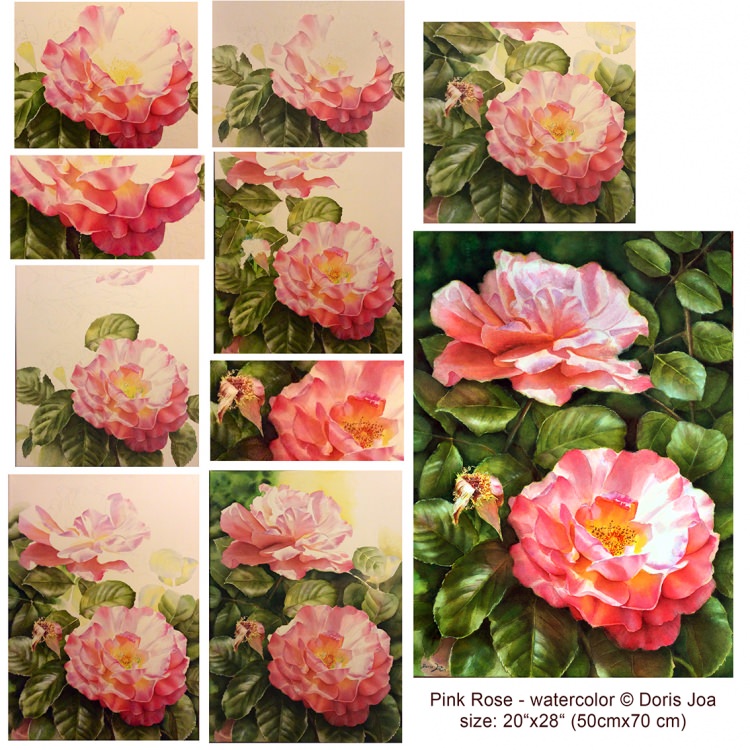 Learn to paint roses step by step in watercolor with indepth instruction, colour mixes, colour sharing, online or on DVD