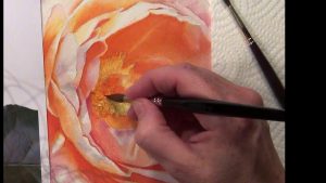 Paint the details in the center of the orange glowing rose for watercolor dvd and online video lesson