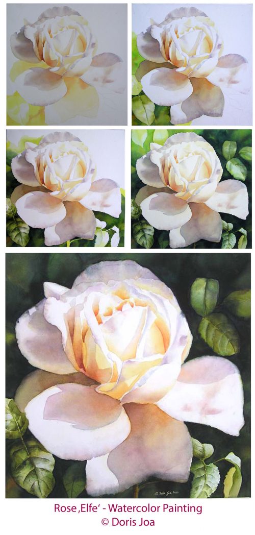 How to paint a rose Watercolor Rose DemonstrationsStepbyStep