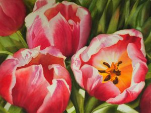 Pink Red Tulips in Watercolor - Flower Painting by Doris Joa