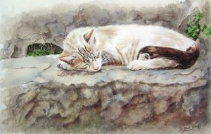 White grey cat laying on warm stones in France - Watercolor Cat Painting