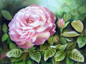 Beautiful Pink Rose Garden Painting in Watercolor