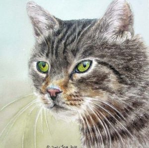 Grey Cat with green eyes - Portrait of a cat in Watercolor, Painting by Doris Joa