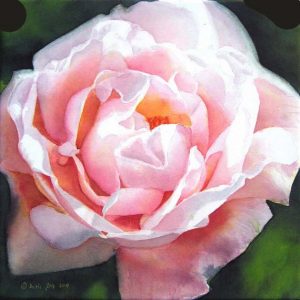 The beautiful climbing rose New Dawn painted as a close up on watercolor canvas