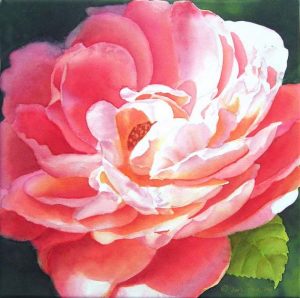 Rose affected by sunshine painted on canvas, Rose Watercolor Painting