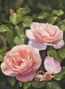 Beautiful Rose Clair Renaissance Garden Painting of Roses in watercolor