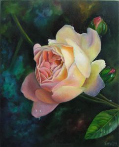 Stunning single Rose Painting of a french Rose, white and peach coloured, Oil Painting