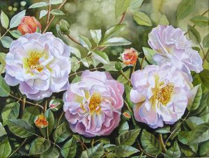 Roses - full blooms with buds and many leaves and background painted on canvas in watercolor