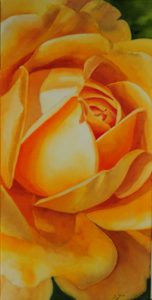 Close up of the beautiful David Austin Rose Golden Celebration on canvas, Watercolor Rose Painting