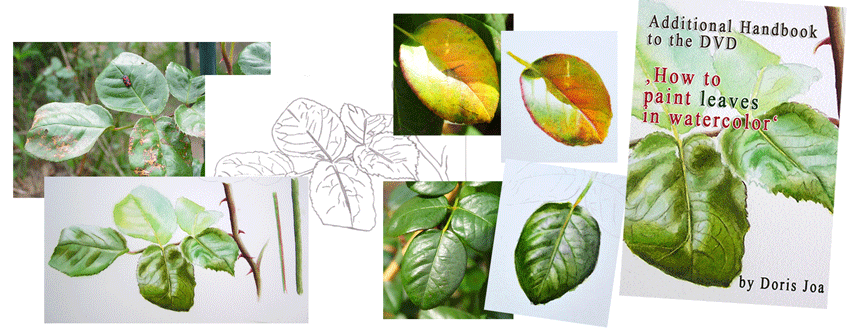 reference material how to paint leaves in watercolor by artist Doris Joa