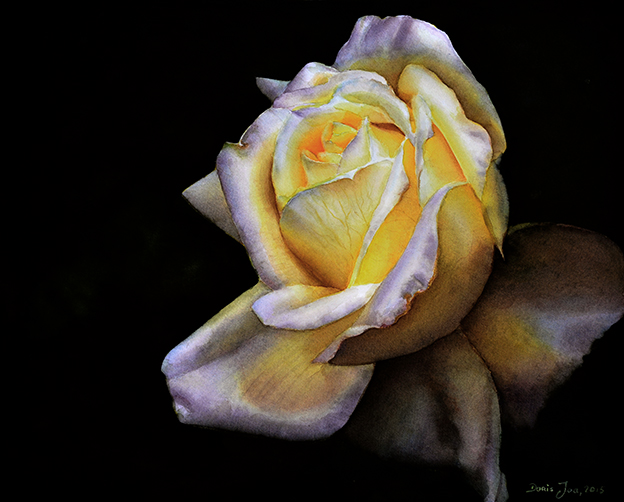 Rose Elfe - realistic watercolor rose painting