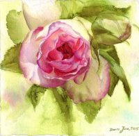 Eden Rose Watercolor Painting by Doris Joa