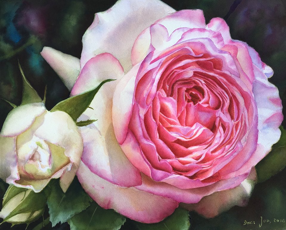 Eden Rose - Pierre de Ronsard - Watercolor Painting