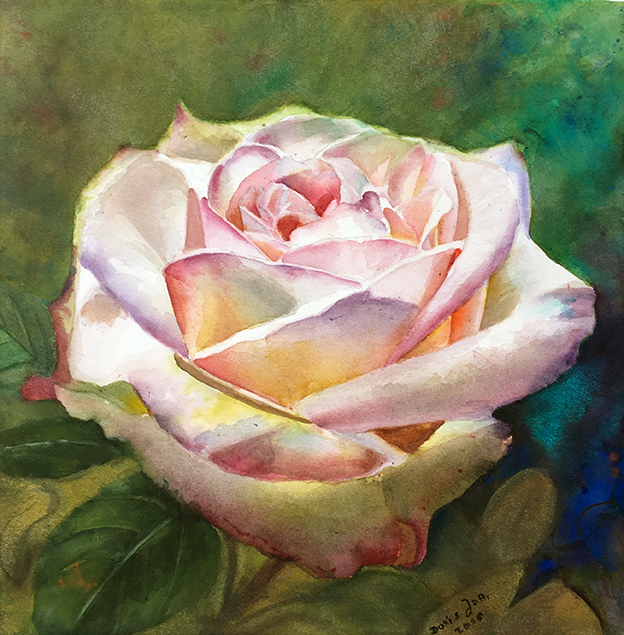 Watercolor Painting of a beautiful white pink rose - Watercolor