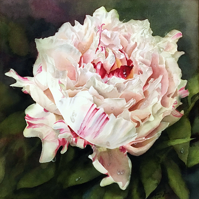 Paeony Flower Painting in watercolor by Doris Joa in white and pink