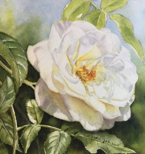 White Rose Flower Painting in watercolor