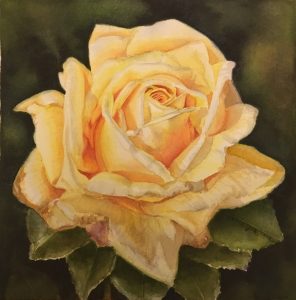 Yellow Rose painting in watercolor - Flower Painting