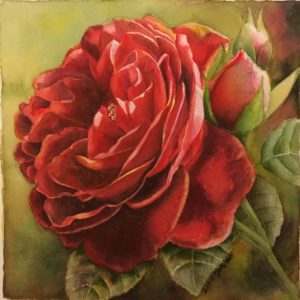 Red Rose Flower Painting in watercolor