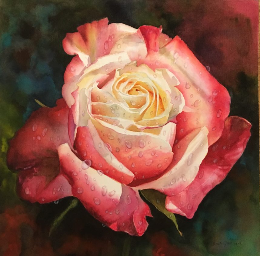 Pink Red Rose with colurful background | Watercolor & Oil ...