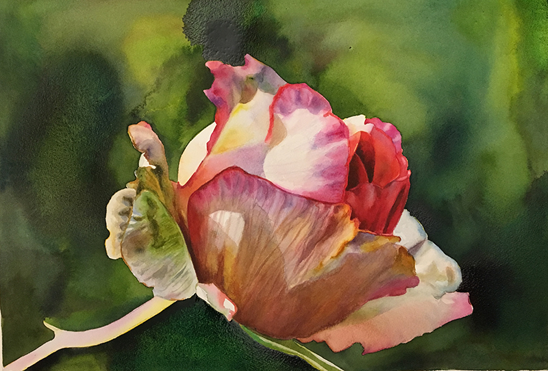 how to create beautiful dark backgrounds in watercolor
