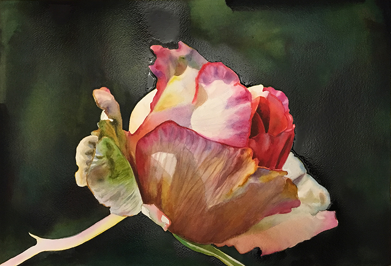 How to create a beautiful dark background in watercolor - free watercolor lesson