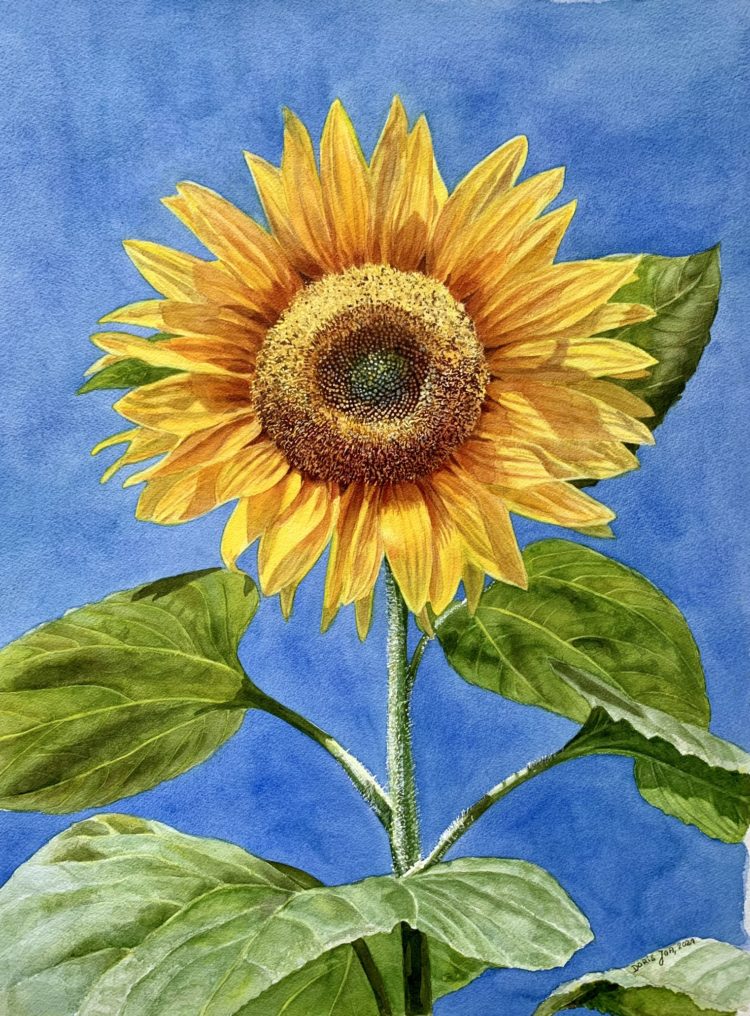 yellow sunflower on blue background