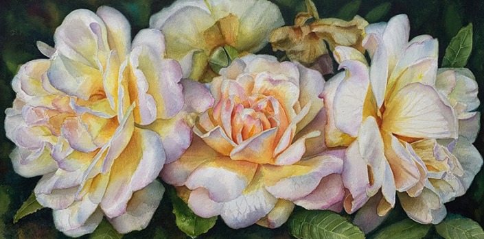 Rose Ghislaine in watercolor by Doris Joa