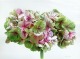 flower paintings in watercolor - hydrangea - bunch of green pink hydrangea by Doris Joa in watercolor