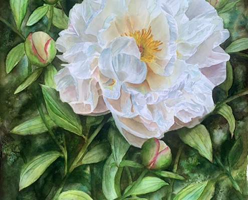large white peony painting in watercolor by Doris Joa