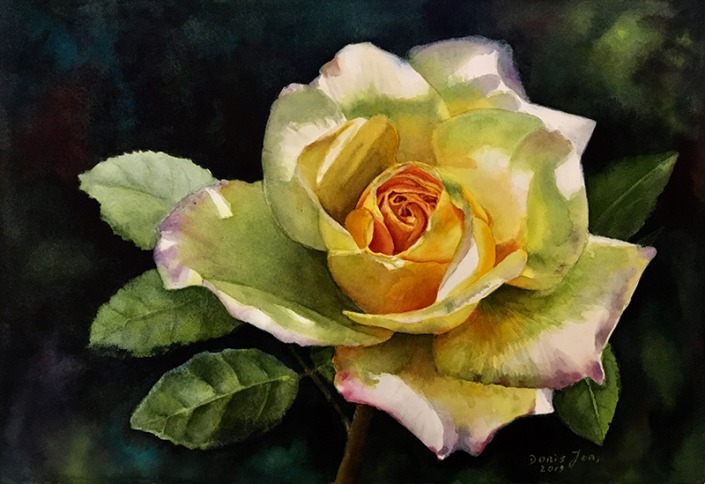 yellow rose on dark background in watercolor by Doris Joa