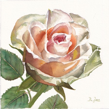 small white orange rose painting in watercolor with green leaves by Doris Joa