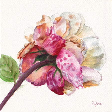 small pinkish white rose from behind , realistic style in watercolor by Doris Joa