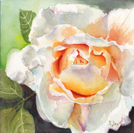 white yellow rose in watercolor
