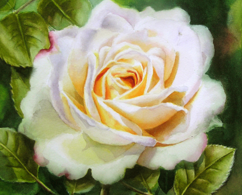 Masterclass white rose Masterclass Learn how to paint a complete white rose painting