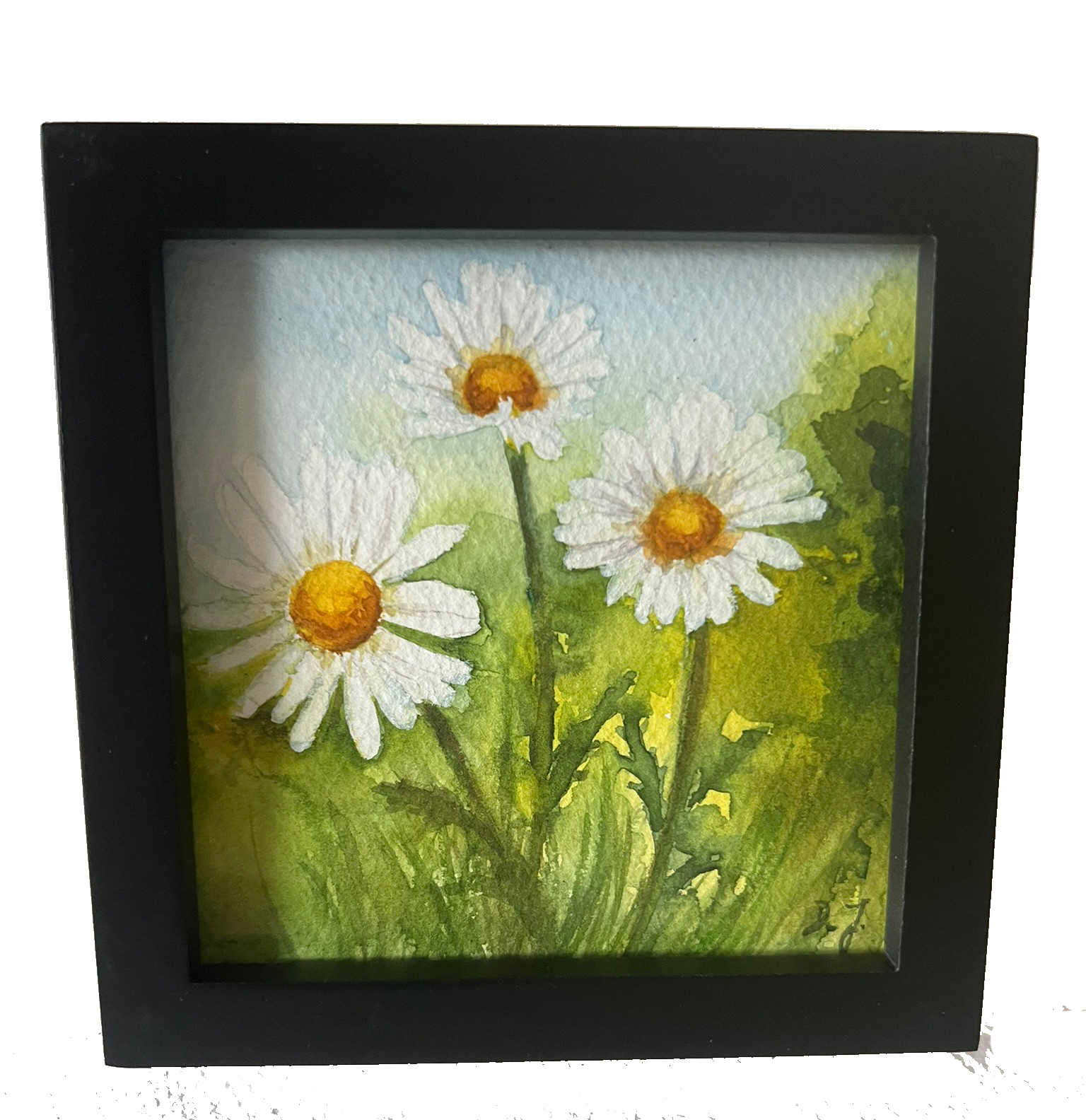 little floral poem painting - collect small treasures - daisies painting in watercolor
