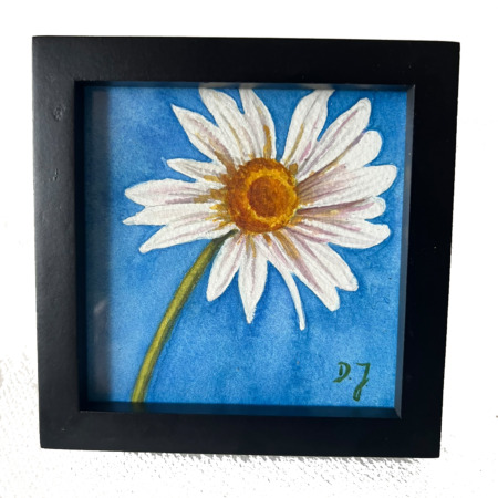small treasure painting in watercolor of a white daisy with white background