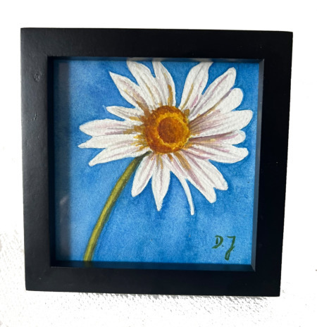 small treasure painting in watercolor of a white daisy with white background