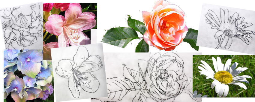 Reference Material Video Masterclass Paint stunning flowers
