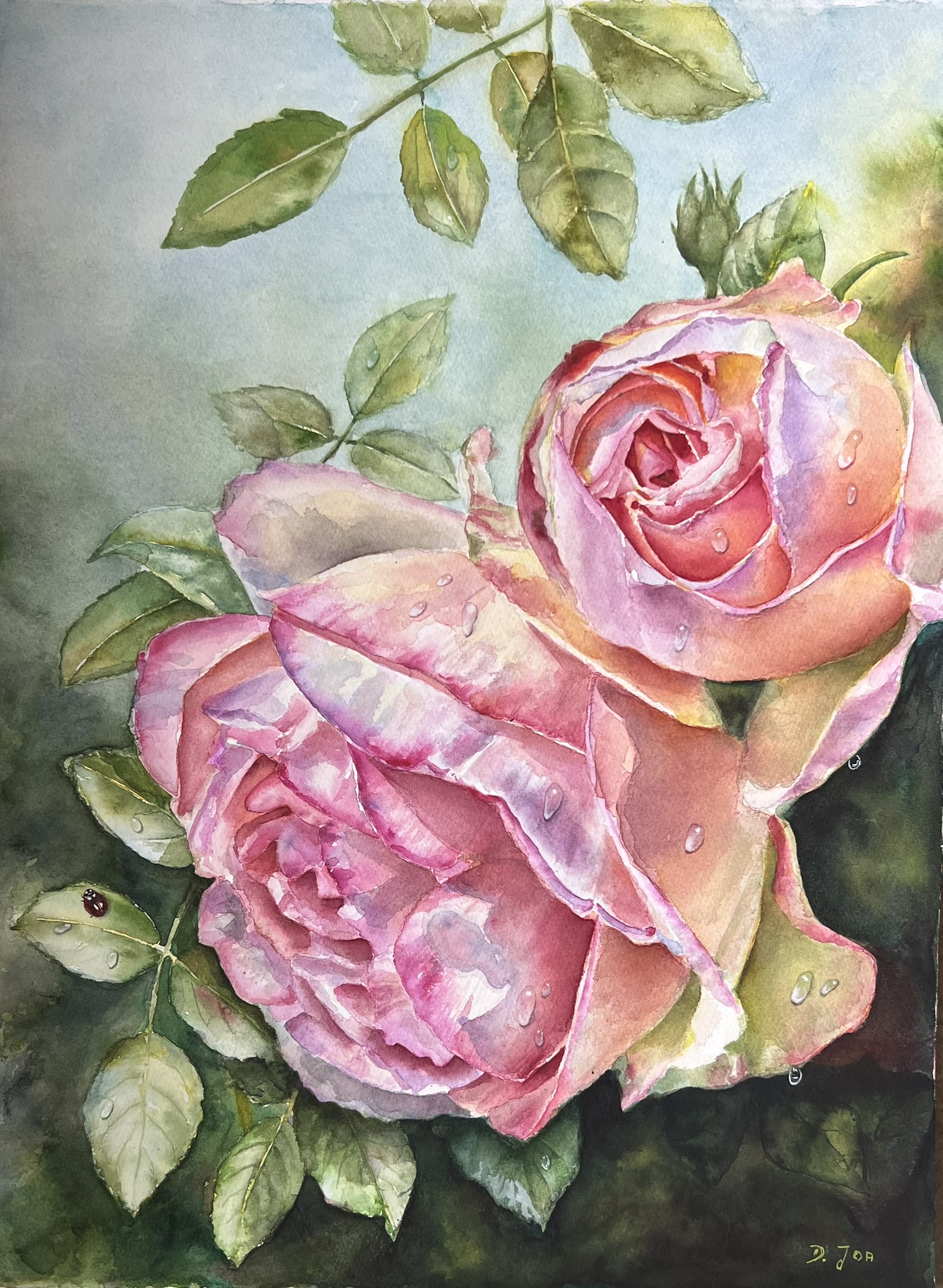 Finished Eden Rose watercolor painting with luminous pink roses, misty dark foliage, dewdrops and a ladybird