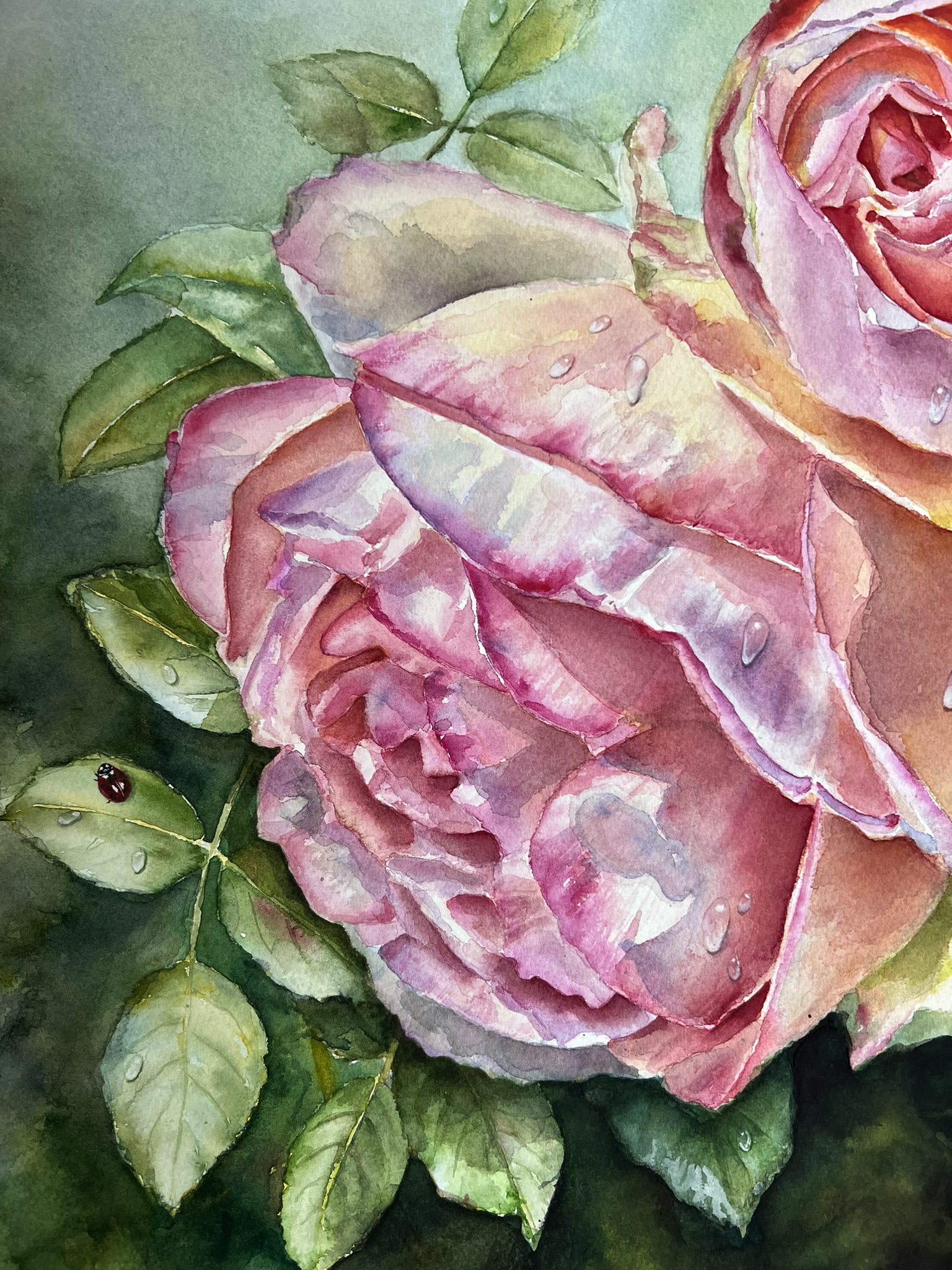 Close view of the tiny ladybird among the leaves of Doris Joa's Eden Rose watercolor